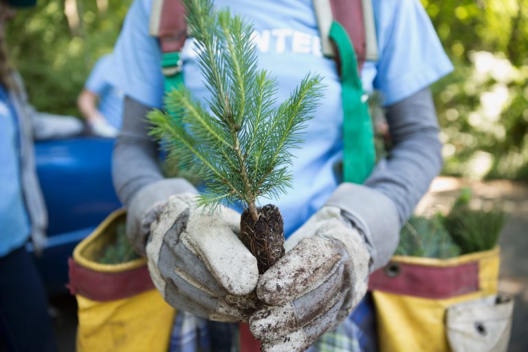 Board of Directors Maryland Forestry Foundation