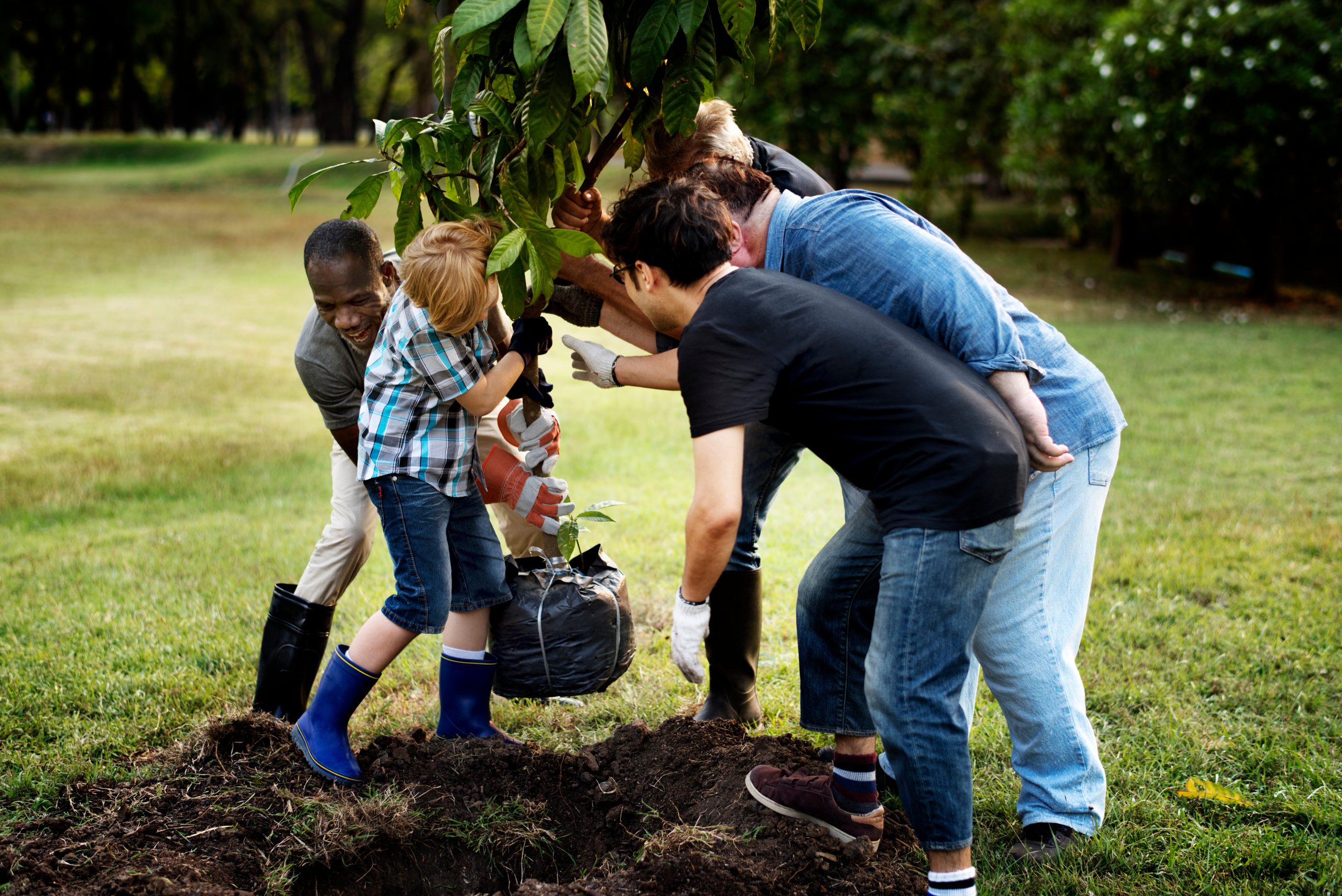 Group of people plant a tree together outdoors