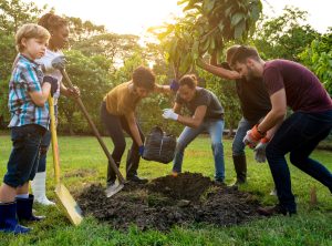 Group of people plant a tree together outdoors