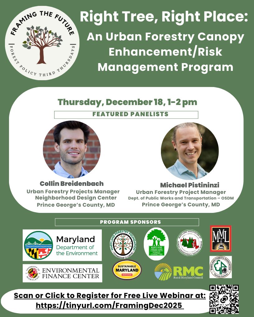 Framing the Future December 2025Right Tree, Right Place NEW TITLE V4