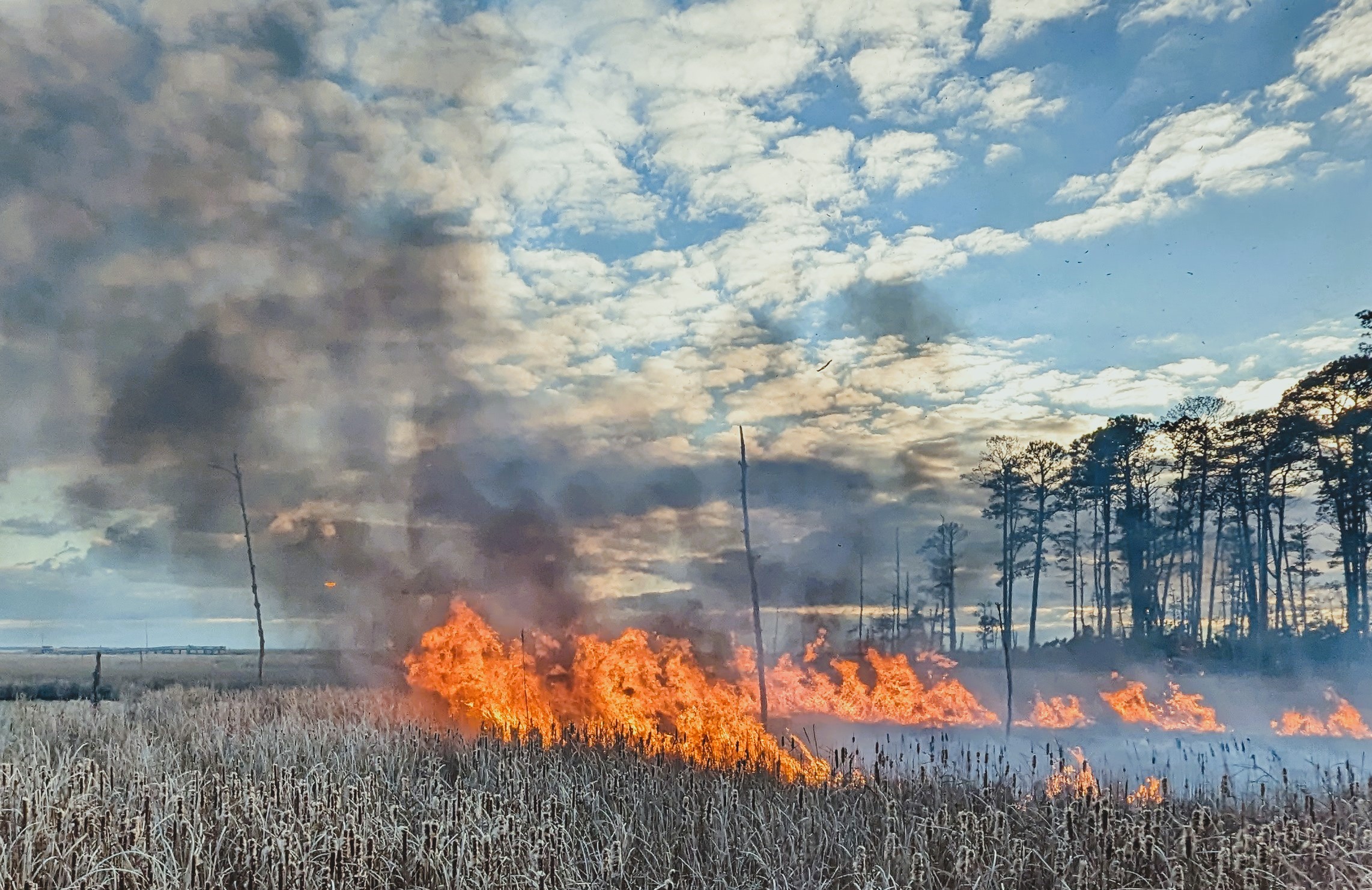 2024 USFWS Fire Employee Photo and Video Contest - Wildcard Category
A prescribed fire is viewed through a window of a bird blind (wildlife observation blind) at Blackwater National Wildlife Refuge in Maryland. Jenny Dillon/USFWS