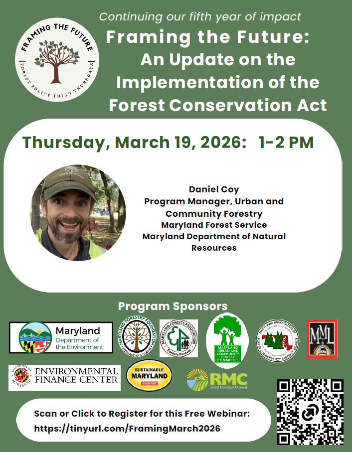 Screenshot 2026-03-03 153227