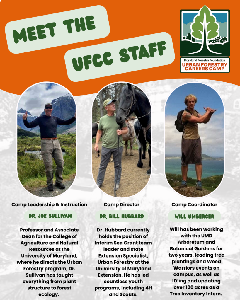 the Camp Staff
